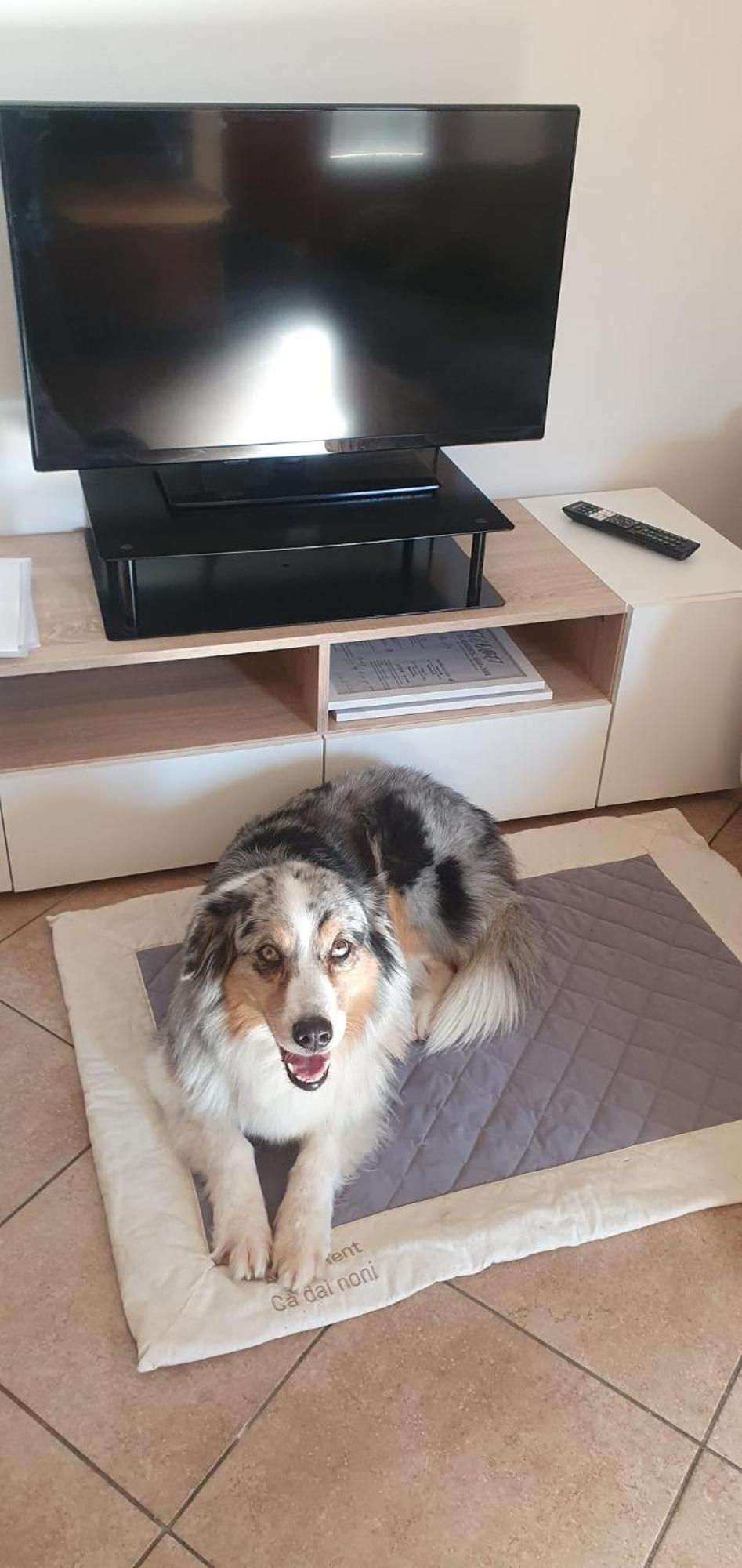Feriolo Apartment Ca Dai Noni מראה חיצוני תמונה