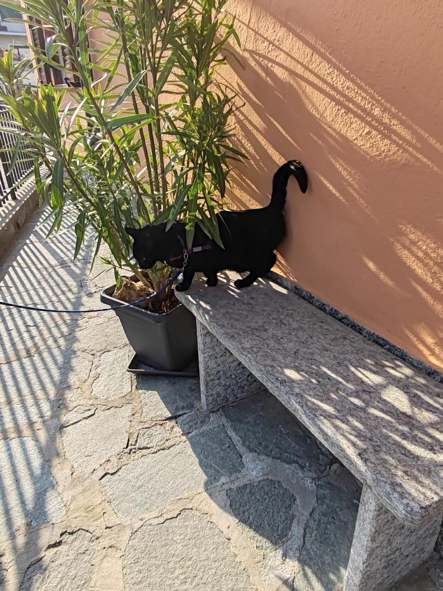 Feriolo Apartment Ca Dai Noni מראה חיצוני תמונה